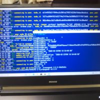 ブロックチェーン起動