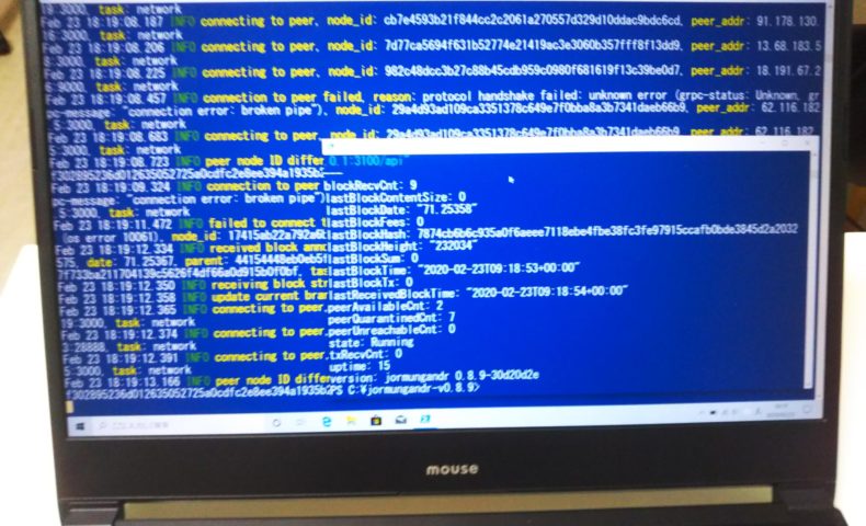 ブロックチェーン起動